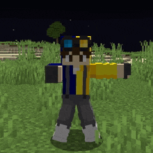 a minecraft character is standing in a field of tall grass