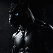 a black panther with blue eyes wearing a necklace