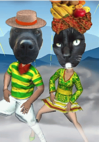 dancing dog and cat