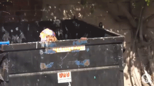 Dumpster Trash GIF - Dumpster Trash Dumpster Dive GIFs