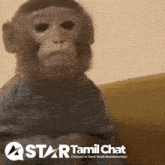 a picture of a monkey with the words star tamil chat on the bottom