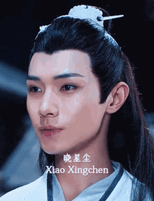 Xiao Xingchen Xingchen GIF - Xiao Xingchen Xingchen The Untamed GIFs