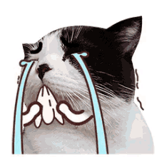 Emoji Cat GIF - Emoji Cat Cry GIFs