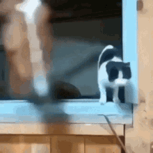 Cat Gets Throwed GIF - Cat Gets Throwed GIFs