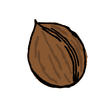 walnut animal