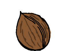 Nuss Nut Sticker - Nuss Nut Walnut Stickers