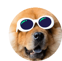 Cute Dog Sticker - Cute Dog Stickers