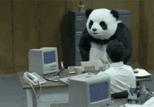 Panda Angry GIF - Panda Angry GIFs