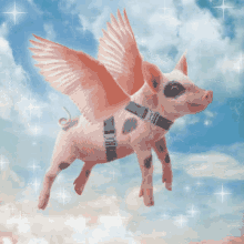 Pigs Fly When Pigs Fly GIF - Pigs Fly When Pigs Fly Pigs GIFs