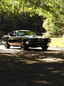 Shelby Mustang GIF
