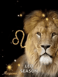 Leo Leo Season GIF - Leo Leo Season Zodiac Sign GIFs