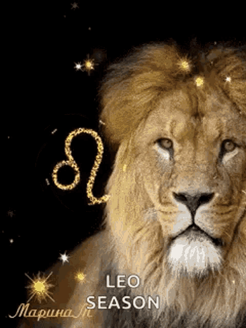 Leo Leo Season GIF – Leo Leo Season Zodiac Sign – discover and share GIFs