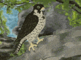 a painting of a bird with a yellow eye standing on a rock