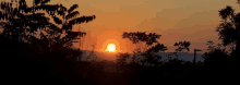the sun is setting behind some trees and mountains