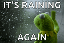 kermit the frog is looking out a window with the words it 's raining again