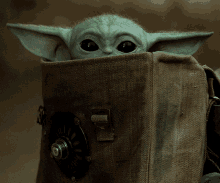 The Mandalorian Baby Yoda GIF - The Mandalorian Baby Yoda Hiding GIFs
