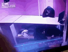a man is sitting at a desk in front of a liveleak sign