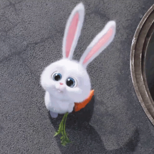 snowball-bunny-carrot.gif