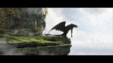 a dragon is standing on a rocky cliff with its wings outstretched