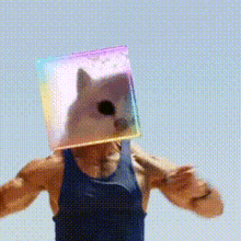 a man in a blue tank top has a cat head in a rainbow box on his head