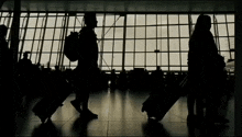 silhouettes of people carrying luggage in front of a window