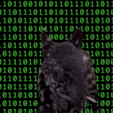 a baby tapir is standing in front of a binary code background