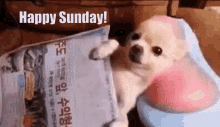 Happy Sunday Massage GIF - Happy Sunday Massage Dog GIFs