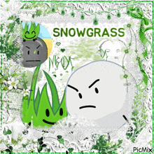 a picture of a snowball with a face and the words snowgrass on the bottom