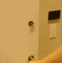 two men are peeking out from behind a door and looking at the camera .