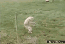 Is This Funny Yeah Running GIF - Is This Funny Yeah Running GIFs