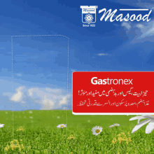 Masood Homeo Gastronex GIF - Masood Homeo Gastronex GIFs