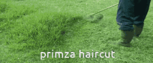 Primza Primza Haircut GIF - Primza Primza Haircut Cw GIFs