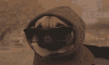 Pug Deal With It GIF - Pug Deal With It Shades GIFs