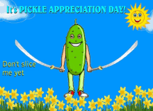 National Pickle Day Pickle Appreciation Day GIF