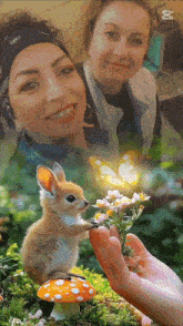 a squirrel is sitting on a mushroom next to a woman