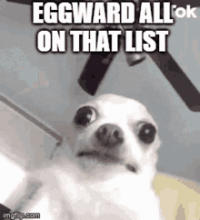 Eggward Eggward All On That List GIF - Eggward Eggward All On That List All On That List GIFs