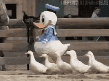 squad donaldduck duck