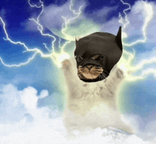 Batcat Batman GIF - Batcat Bat Cat GIFs