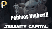 Serenity Capital Pebble Token GIF