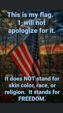 a picture of an american flag with a quote about it