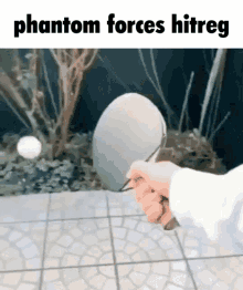 Hitreg Phantom Forces GIF - Hitreg Phantom Forces Pf GIFs