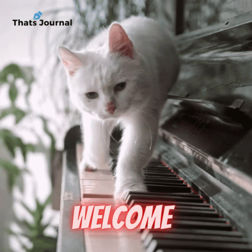 youre welcome cat