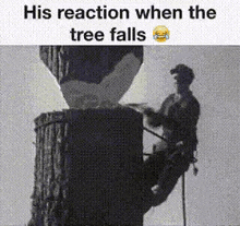 His Reaction When It Falls Tree Chopping GIF - His Reaction When It Falls Tree Chopping Shitpost GIFs
