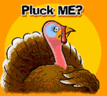 Happy Thanksgiving Turkey GIF - Happy Thanksgiving Turkey Jokes GIFs