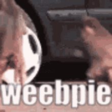 Weebpie Monkey GIF - Weebpie Monkey Steal GIFs