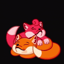 Fox Foxy GIF - Fox Foxy Sleeping Couple GIFs