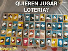 Quieren Jugar GIF - Quieren Jugar Loteria GIFs