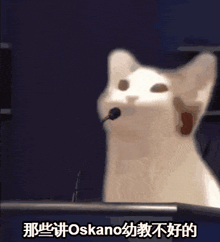 a white cat with a microphone in its mouth says " oskano " on the bottom