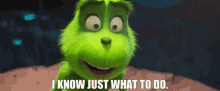 The Grinch I Know Just What To Do GIF - The Grinch I Know Just What To Do I Know What To Do GIFs