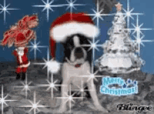 Boston Terrier Christmas GIF - Boston Terrier Christmas Puppy GIFs